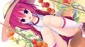 Raspberry Cube / Image 6