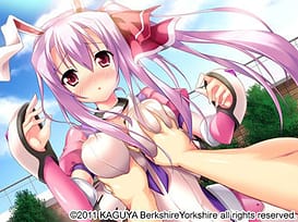 Sakura Iro Quartet / Image 5