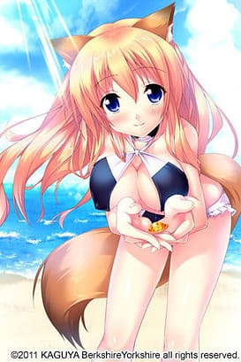 Sakura Iro Quartet / Image 16