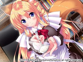 Sakura Iro Quartet / Image 17