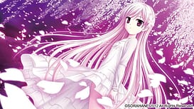 Sakura Sakimashita / Image 6