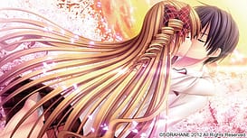 Sakura Sakimashita / Image 8