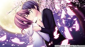 Sakura Sakimashita / Image 9