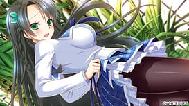 Sakura Synchronicity / Image 5