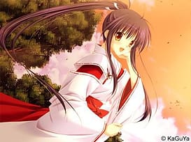 Sara Sara Sasara / Image 27