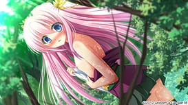 Sengoku Hime 4 -Souhai Hyakkei Hana Mamoru Chikai / Image 10