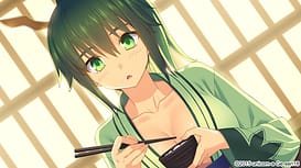 Sengoku Hime 6 -Tenka Kakusei Shingetsu no Kirameki / Image 6