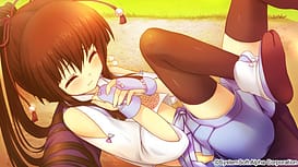 Sengoku Hime Hana -Shinroku Tenka o Kirisaku Hikari to Kage / Image 5