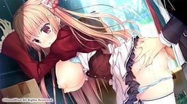 Shirokoi Sakura Gram LF / Image 5