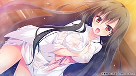 Shougun-sama wa Otoshigoro / Image 5