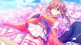 Shougun-sama wa Otoshigoro / Image 11