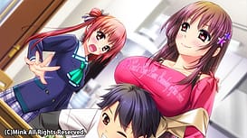 Sister Scheme 3 / Image 5