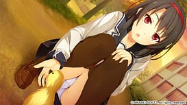 Sorairo Innocent / Image 5