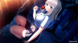 Swallowtail -Ano Hi Ao o Koete / Image 2