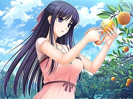 Walkure Romanze Retell II / Image 8