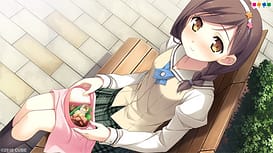 Your Diary / Image 10