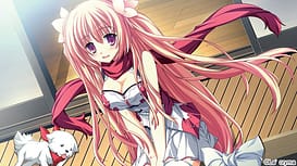 fortissimo EXS Akkordnchsten Phase / Image 7