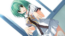 fortissimo EXS Akkordnchsten Phase / Image 12