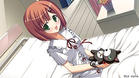 fortissimo EXS Akkordnchsten Phase / Image 13