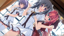 fortissimo EXS Akkordnchsten Phase / Image 14