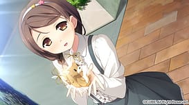 your diary plus H / Image 6