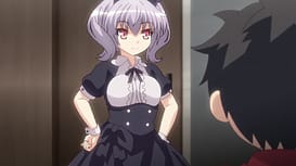 Night Tail 01 / Image 12