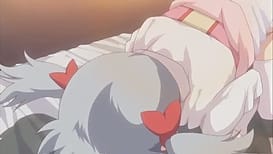 Zettai Junshu Kyousei Kozukuri Kyokashou!! 02 / Image 5