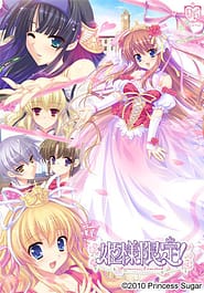 Hime-sama Gentei! - Princess Limited Download