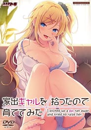 Iede Gal o Hirotta node Sodatetemita Download