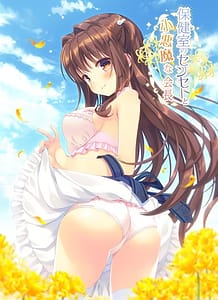 Hokenshitsu no Sensei to Koakuma na Kaichou / Cover!