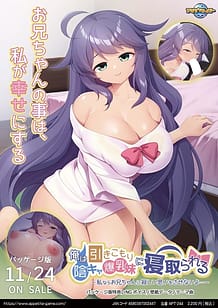 Ore wa Hikikomori Inkya Bakunyuu Imouto ni Netorareru -Watashinara Onii-chan ni Sabishii Omoi o Sasenai yo / Cover!