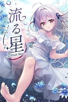 Nagaruboshi -a wish star / Cover!