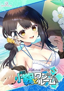 Setsuna ni Kakeru Koi Hanabi SS Komari to One Room / Cover!