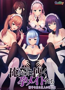 Ore dake ni Kashizuku Haramaid-tachi -Seishi o Musaboru Gonin no Yokushin Onna / Cover!