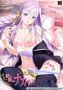 Ane to Ore wa naka ga Ii / Cover!