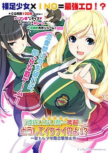 Kareshi Inai Reki  Nenrei Ja Doushite Ikenai no yo! -Sei Torea Gakuen Renai Kinshi Rei / Cover!