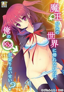 Maou ga Moto no Sekai ni Kaerenai no wa Ore no xx ga Tarinai Sei / Cover!