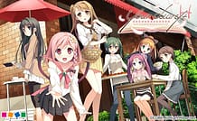 your diary plus H / Cover!