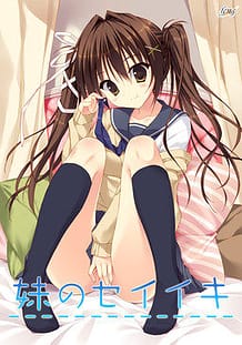 Imouto no Seiiki / Cover!