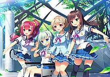 Kotonoha Maichiru Natsu no Koe / Cover!