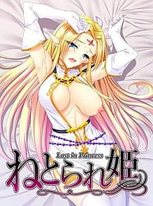 Netorare Hime / Cover!