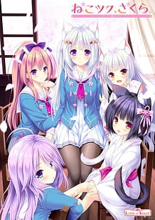 Nekotsuku Sakura / Cover!