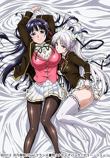 Ojou-sama Yomeiri Kousou 01 / Cover!